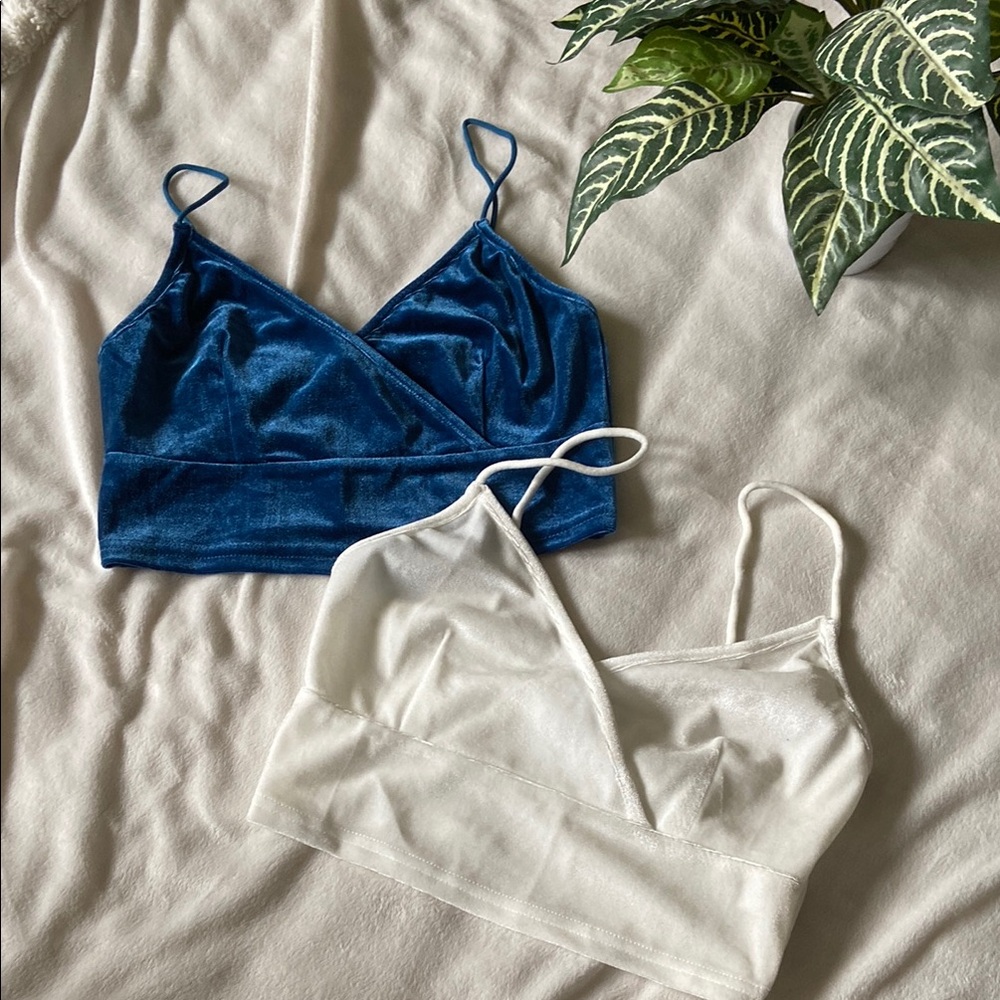 Blue and White Velvet Crop Tops